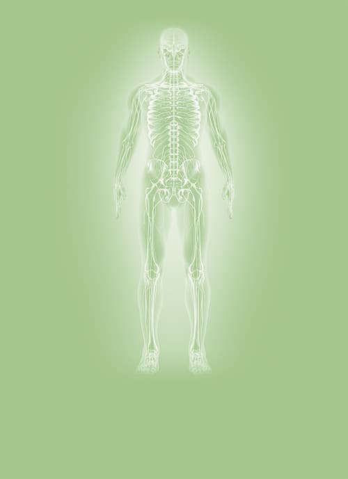 human